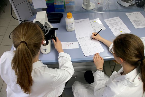 Two scientists in white lab coats work collaboratively at a Hochschule Coburg lab bench. One peers into a microscope while the other takes notes on a diagram, surrounded by papers and a bottle. The environment buzzes with academic synergy.