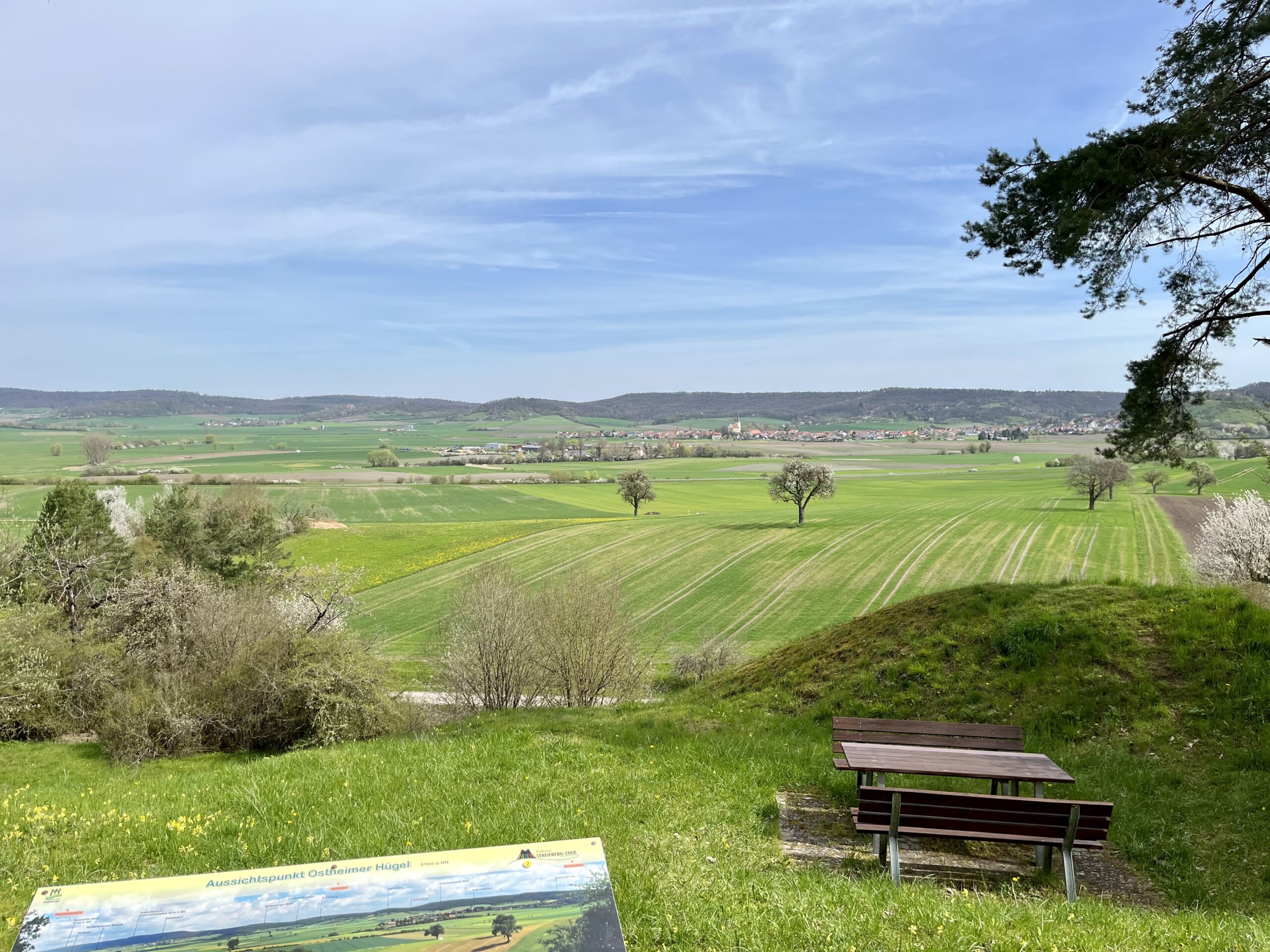 Ein malerischer Blick auf eine üppige, grüne Landschaft mit sanften Hügeln unter blauem Himmel. Im Vordergrund steht ein hölzerner Picknicktisch, umgeben von Bäumen und Grün in der Nähe der Hochschule Coburg. In der Ferne ist eine kleine Stadt zu sehen.