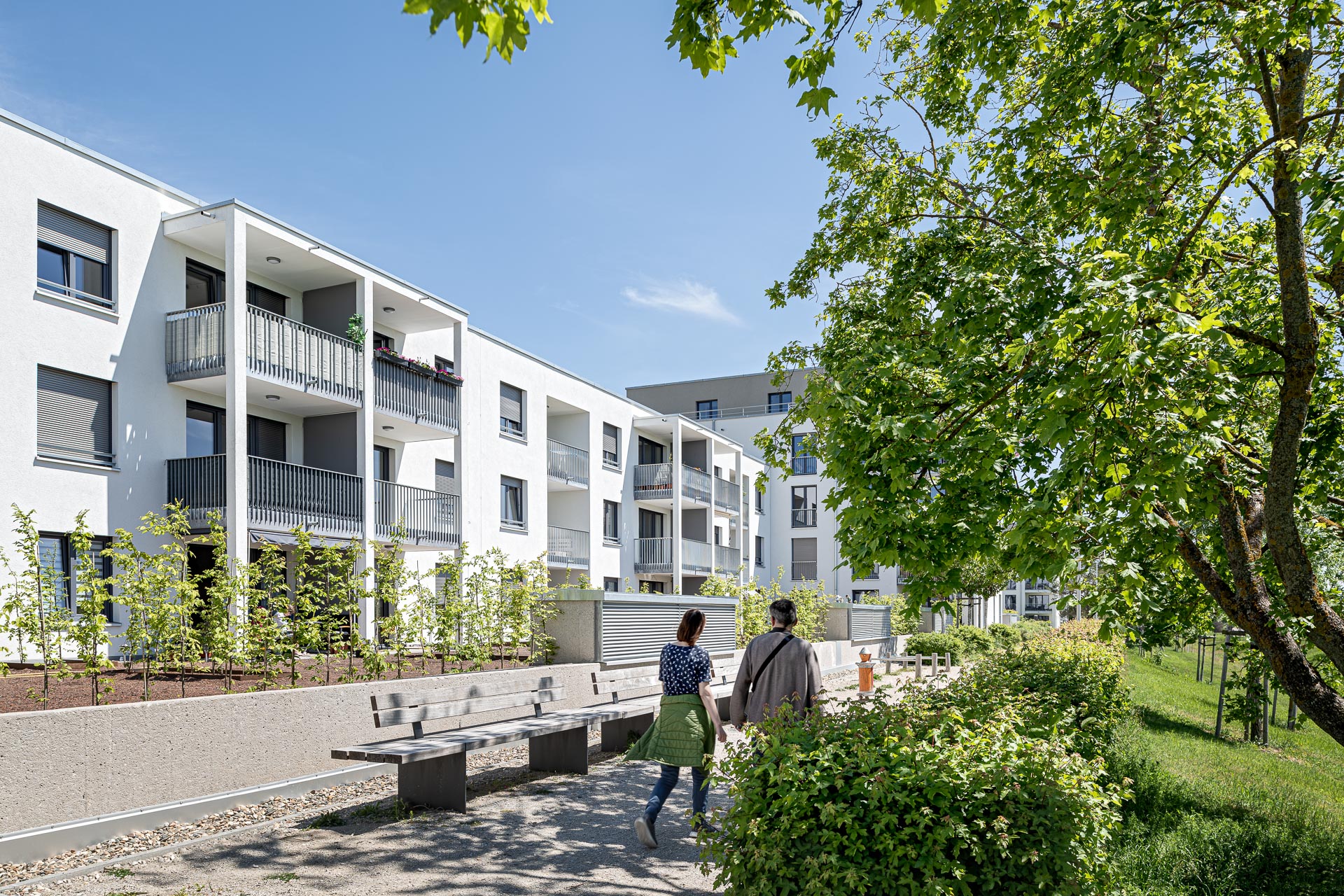 Unweit der Hochschule Coburg steht unter strahlend blauem Himmel ein moderner Wohnkomplex mit weißen Fassaden und Balkonen. Zwei Menschen schlendern einen von Bäumen und Bänken gesäumten Weg entlang, der eine ruhige und einladende Atmosphäre schafft.