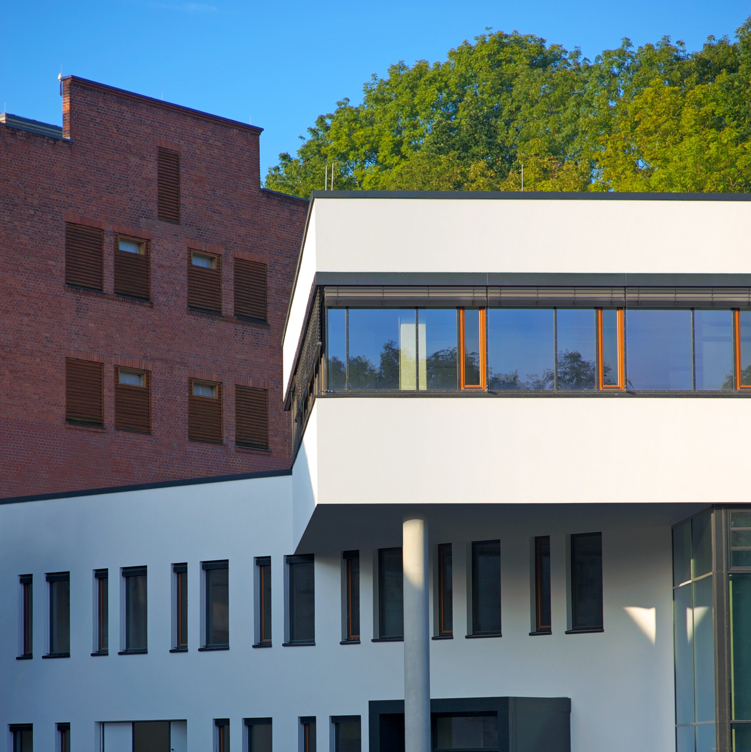 Das moderne Gebäude der Hochschule Coburg weist einen markanten Kontrast auf: ein weißer, eckiger Baukörper mit großen Fenstern vor einer älteren, roten Backsteinfassade. Im Hintergrund gedeihen üppig grüne Bäume unter einem klaren blauen Himmel.