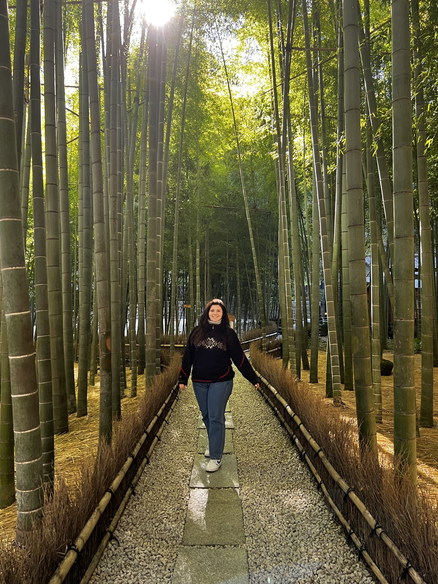 A person strolls along a serene bamboo forest path near Hochschule Coburg, lined with tall, green stalks. Sunlight filters through the trees, creating a peaceful atmosphere. The path is bordered by small wooden fences and edged with dry grass.