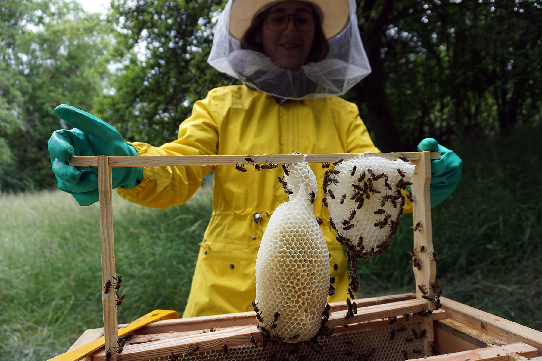 Ein Imker in gelbem Anzug und Schutzkleidung, vermutlich eine Ausbildung an der Hochschule Coburg, hält vor einer grasbewachsenen Außenkulisse einen Holzrahmen mit Bienenwaben in der Hand.