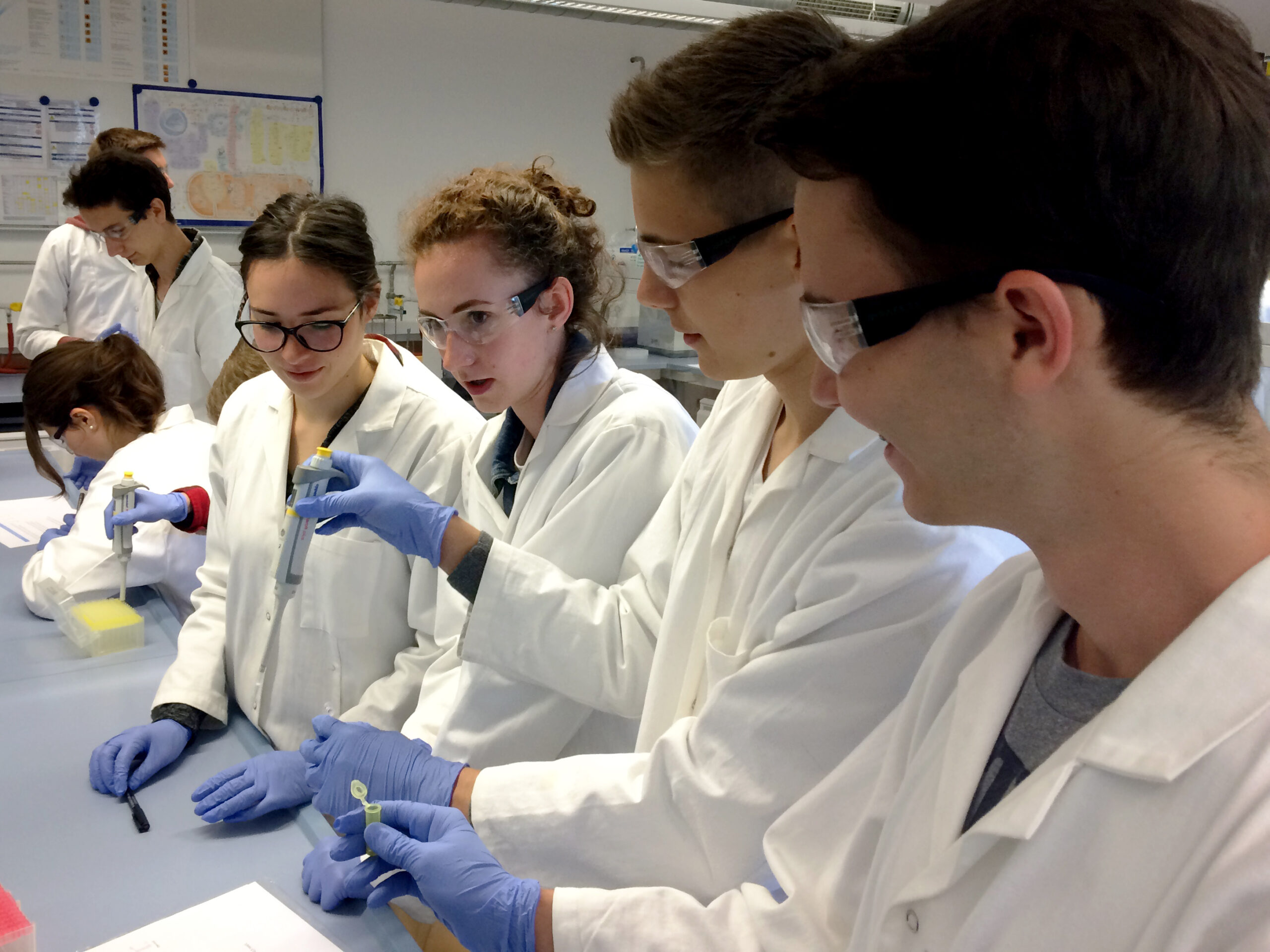 Eine Gruppe von Studierenden der Hochschule Coburg arbeitet in einem Labor. Sie tragen weiße Laborkittel und Schutzbrillen. Sie arbeiten fleißig mit Laborgeräten und Proben auf dem Tisch und vertiefen sich in ein spannendes wissenschaftliches Experiment.