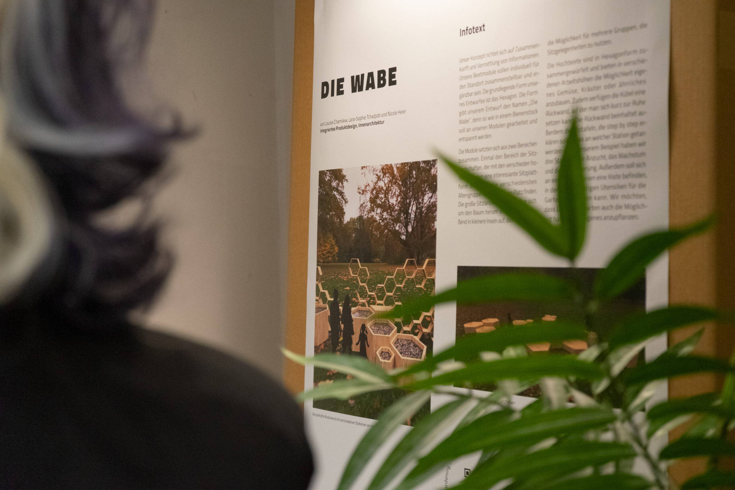 Eine Person betrachtet eine Informationstafel mit dem Titel „DIE WABE“. Auf ihr sind Bilder und Texte zu einem Naturprojekt der Hochschule Coburg zu sehen. Die Sicht ist teilweise durch Grün verdeckt.