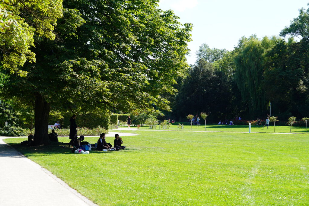 An einem sonnigen Tag sitzen Menschen im Schatten eines großen Baumes in einem Park und unterhalten sich vielleicht über ihr Studium an der Hochschule Coburg. Die Rasenfläche ist weitläufig, in der Ferne sitzen Menschen. Bäume und kleine Pflanzen säumen den Park und schaffen eine ruhige und natürliche Atmosphäre.