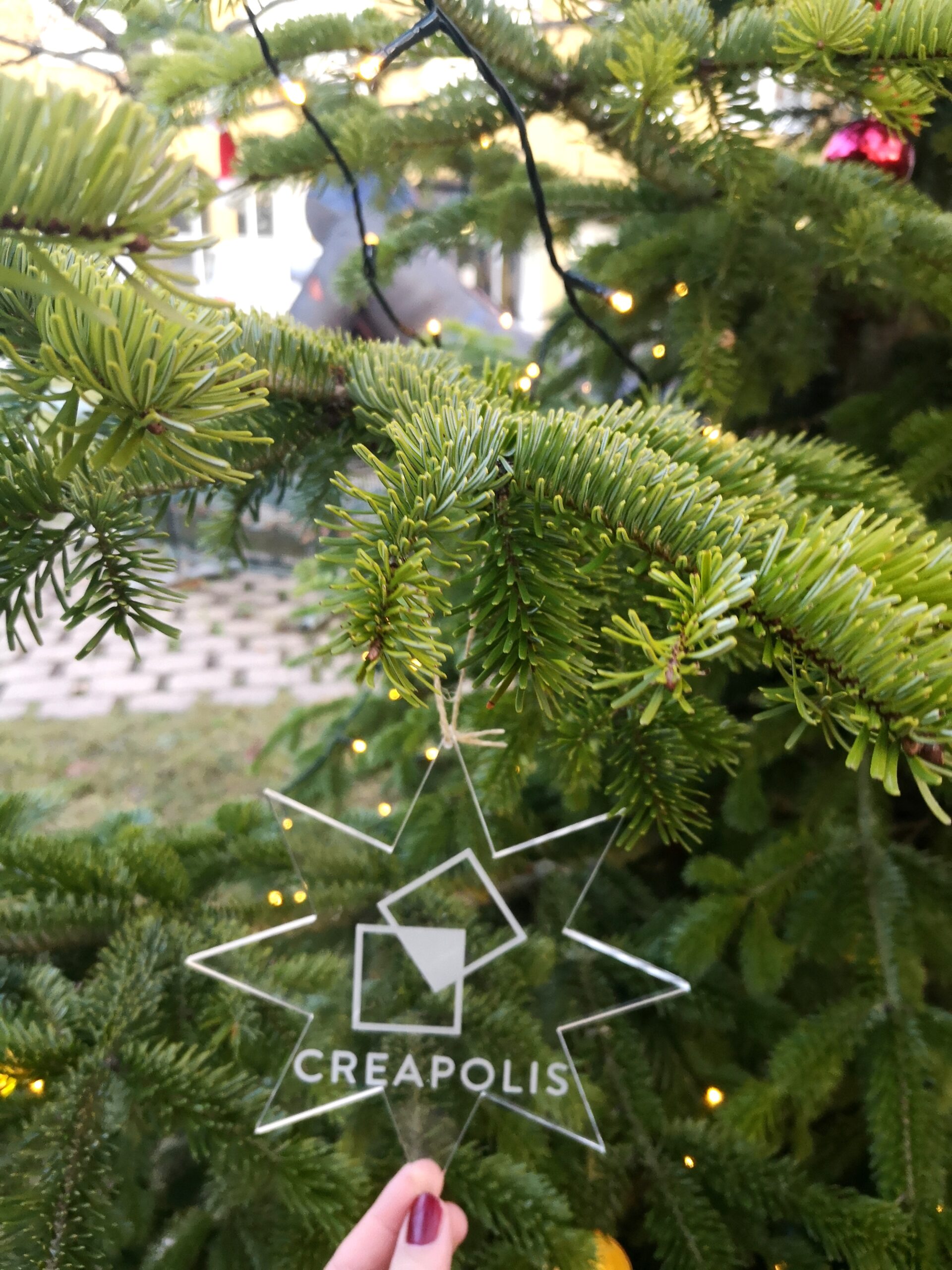 Ein klares sternförmiges Ornament mit dem Wort „CREAPOLIS“ hängt an einem grünen Tannenzweig, sanft beleuchtet durch warme Lichter im Hintergrund, und erinnert an die festliche Stimmung der Hochschule Coburg.