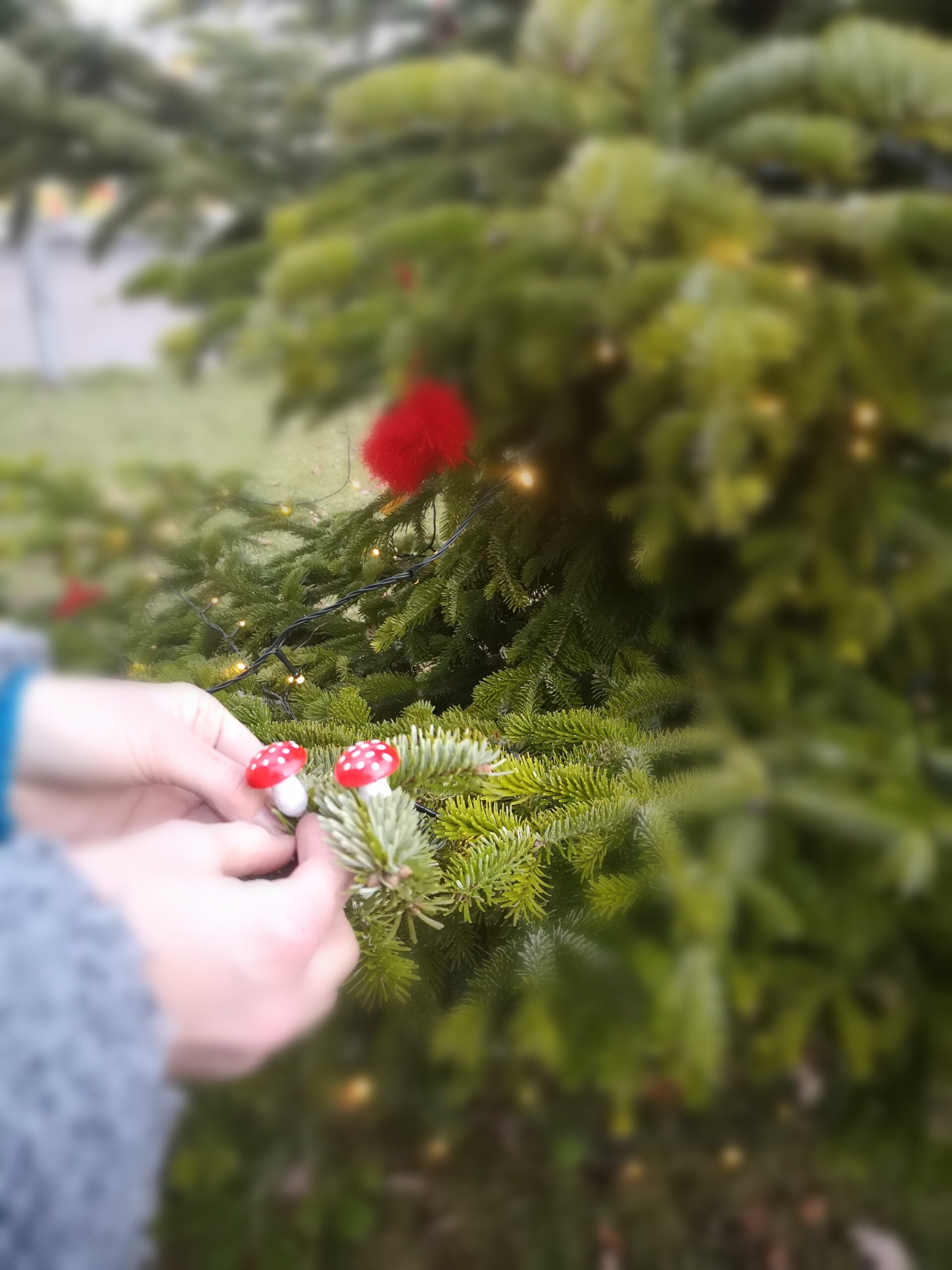 Eine Person in einem blauen Pullover, möglicherweise ein Student der Hochschule Coburg, hängt kleine Pilzornamente an einen Tannenzweig. Der Baum ist elegant mit roten und weißen Akzenten geschmückt und erzeugt vor dem weichen, verschwommenen Hintergrund eine warme Weihnachtsszene.