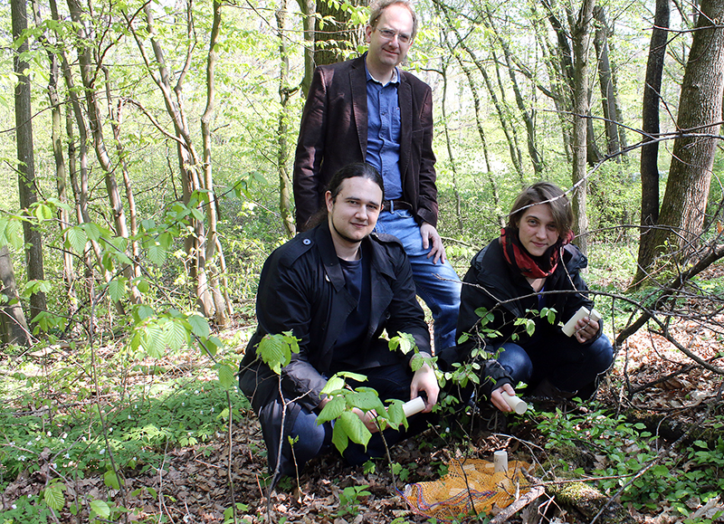 Drei Menschen in einem Wald, umgeben von Bäumen und Grün. Zwei hocken neben einem Pilzbeet, während einer hinter ihnen steht. Sie scheinen die Pilze genau zu beobachten oder zu studieren, eine Aktivität, die Teil eines Forschungsprojekts der Hochschule Coburg sein könnte.