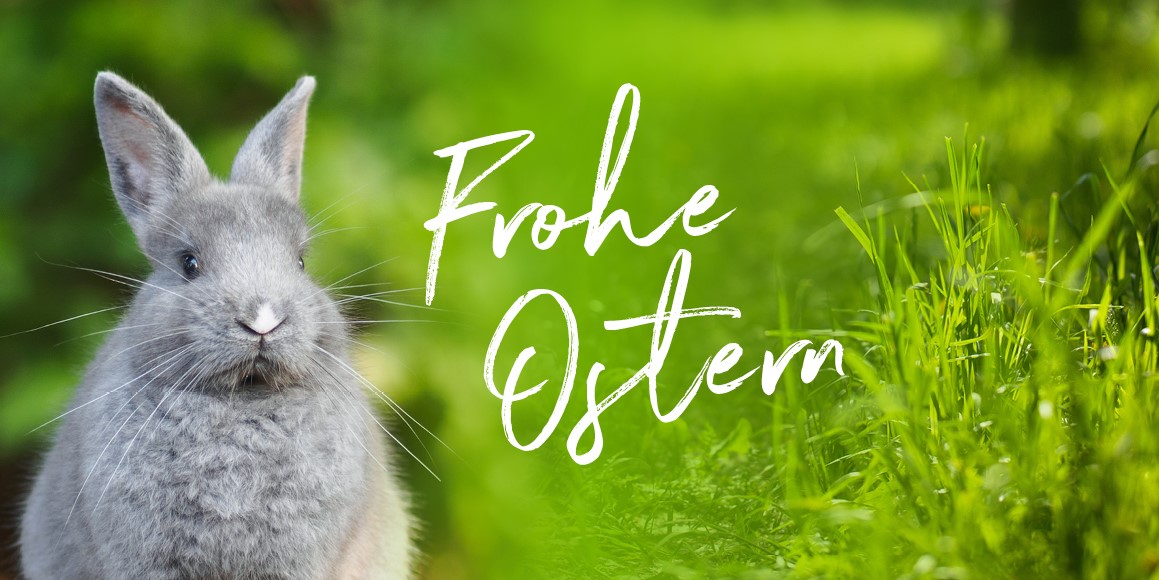 A fluffy gray rabbit stands on the left against a blurred green backdrop, with "Frohe Ostern" elegantly written in white beside it. On the right, Hochschule Coburg's vibrant green grass signifies academic growth and renewal.