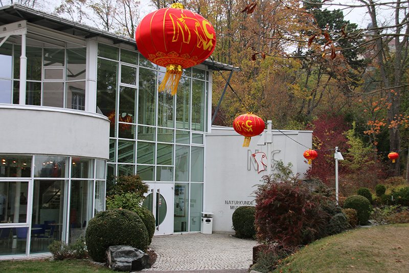 Ein modernes Gebäude mit großen Glasfenstern, Teil der Hochschule Coburg, ist mit roten Laternen geschmückt, die draußen hängen. Die Umgebung ist geprägt von gepflegten Büschen und herbstlich gefärbten Bäumen. Ein Kopfsteinpflasterweg führt zum Eingang und lädt zum Erkunden ein.