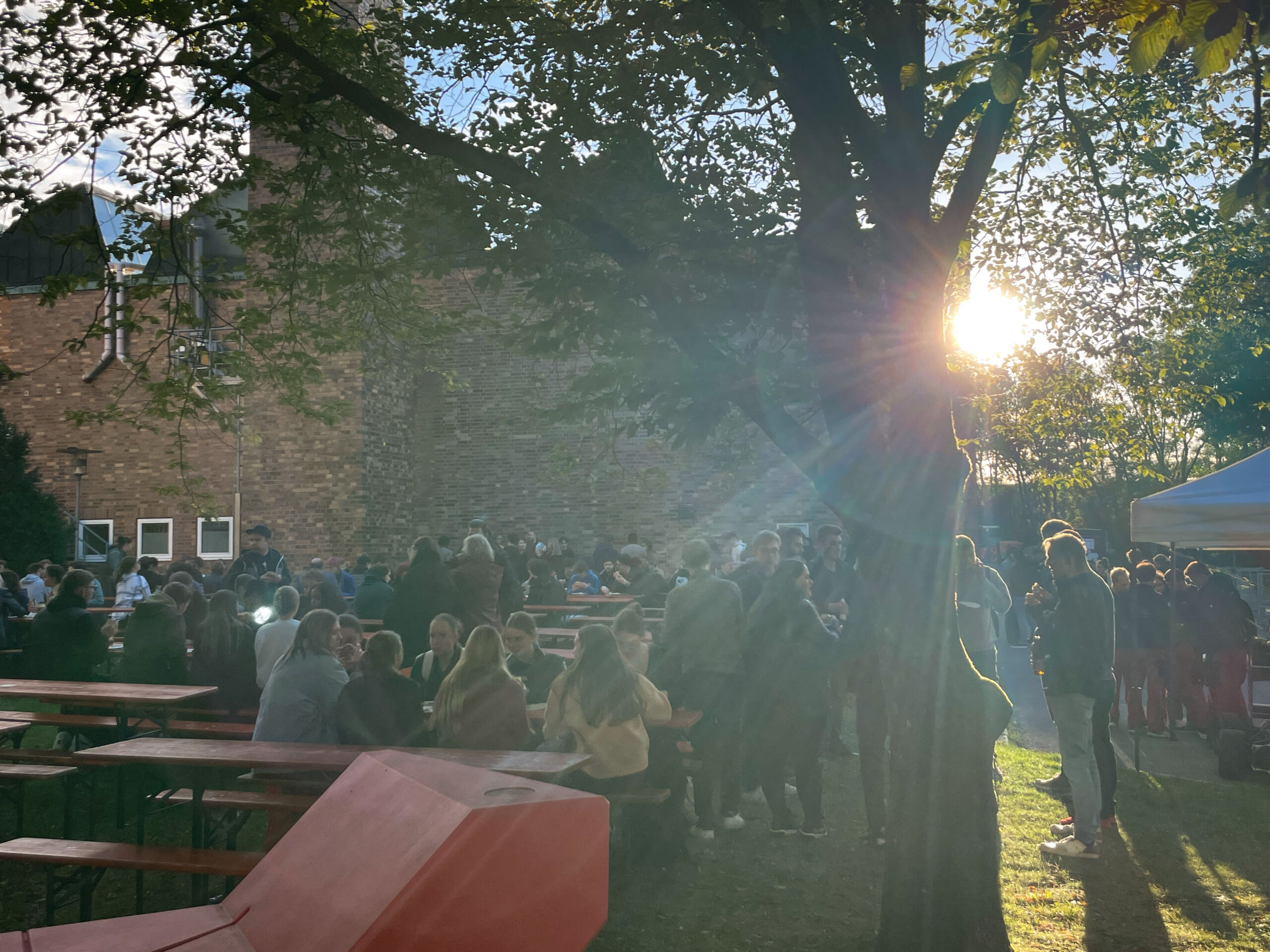 Menschen feiern unter einem Baum im Sonnenuntergang.