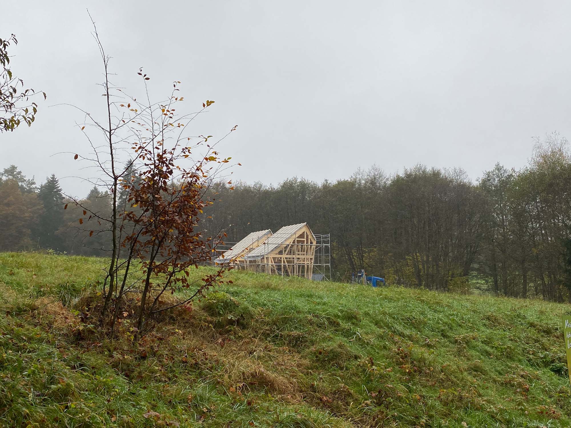 Ein teilweise fertiggestelltes Holzhaus steht auf einer Wiese, umgeben von Bäumen unter einem bewölkten Himmel. Neben dem Gebäude ist ein Gerüst zu sehen, und an einem kleinen Baum in der Nähe hängen ein paar Herbstblätter.