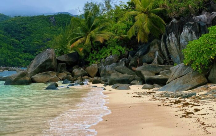 Eine ruhige tropische Strandszene auf den Seychellen bietet weichen Sand, klares türkisfarbenes Wasser und verstreute Felsen. Üppige grüne Palmen und dichte Vegetation säumen die Küste unter einem bewölkten Himmel.Yuliya Pankevich / Unsplash