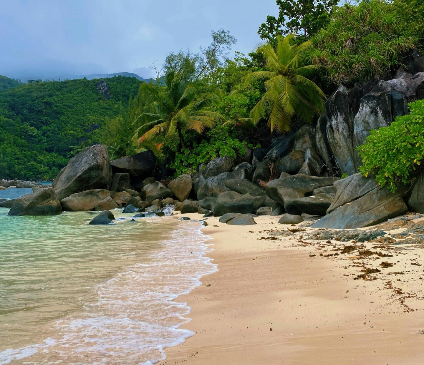 Eine ruhige tropische Strandszene auf den Seychellen bietet weichen Sand, klares türkisfarbenes Wasser und verstreute Felsen. Üppige grüne Palmen und dichte Vegetation säumen die Küste unter einem bewölkten Himmel.Yuliya Pankevich / Unsplash